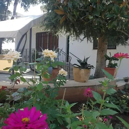 בית נופש Collina, Mare פראביטה