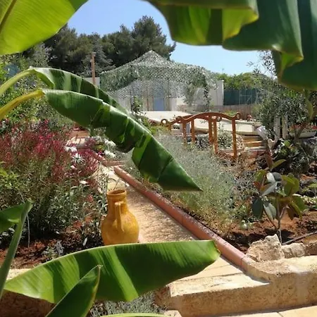 Collina, Mare * פראביטה